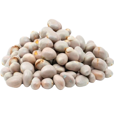 Fresh Jackfruit Seed 500g